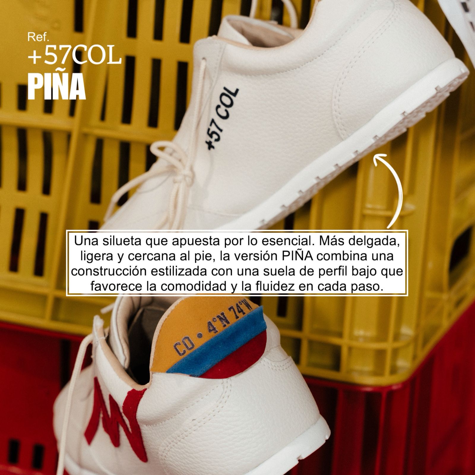 +57COL🇨🇴